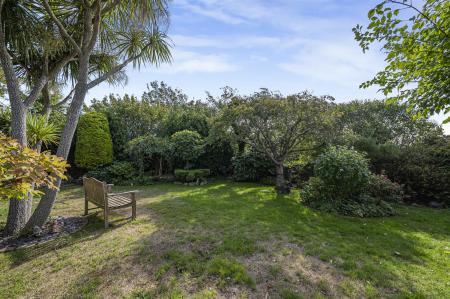 Photo 16-09-2025, 11 07 53.JPG