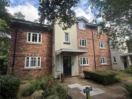 Jack Front Photo.jpg