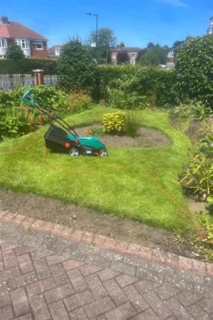 Vendor Garden 2a.png