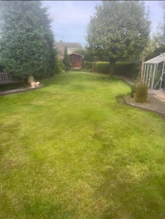 Vendor Garden 1a.png