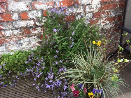 new external 2 - vendor.jpeg