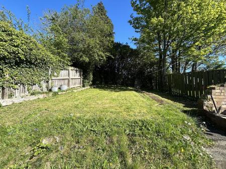 garden 2.png