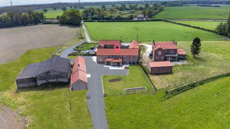 DJI_0957.jpg
