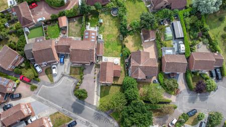 DJI_0132.jpg