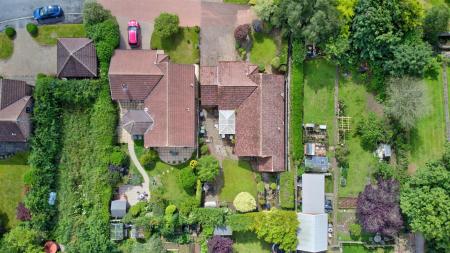 DJI_0565a.jpg