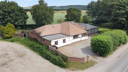 DJI_0686.jpg