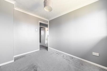 Media image 15