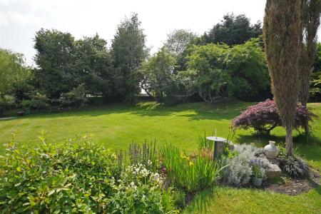 Garden 7.jpg