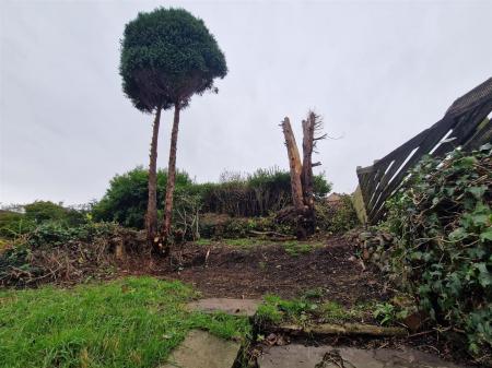 WhatsApp Image 2025-11-05 at 16.07.18_fa8b05c7.jpg