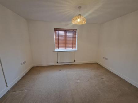 WhatsApp Image 2026-02-10 at 15.15.43.jpeg