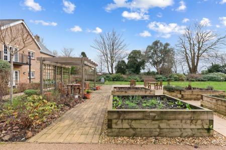 Communal Garden