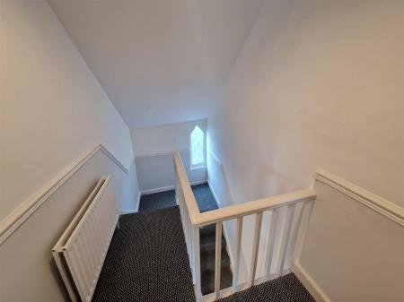 WhatsApp Image 2026-02-25 at 15.22.27.jpeg