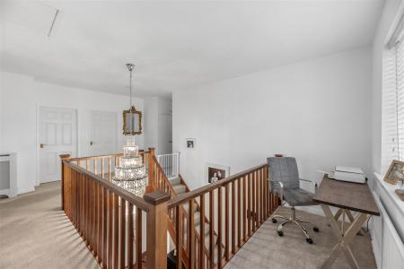 Landing/Study Area