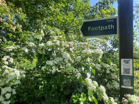 Bredfield & Surrounding Areas