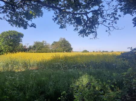 Bredfield & Surrounding Areas