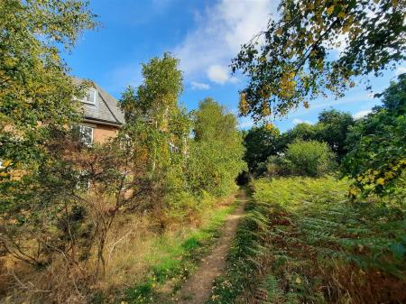 Woodland And Surrounding Area