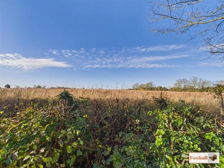 View from the property