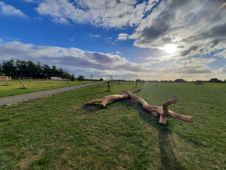Henley Gate Country Park