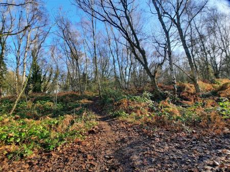 Rushmere Heath 3.jpg