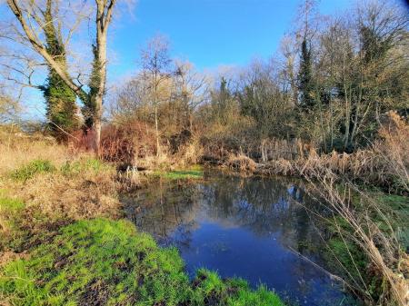 Rushmere Heath 2.jpg