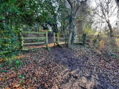 Rushmere heath 4.jpg