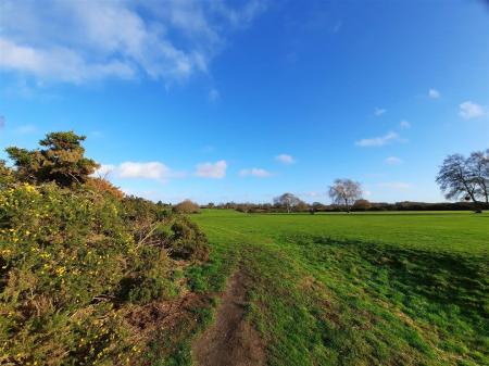 Views of Rushmere Heath