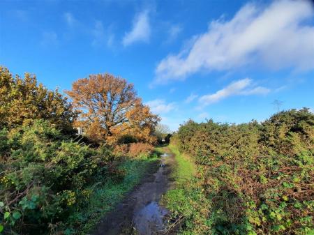 Views of Rushmere Heath