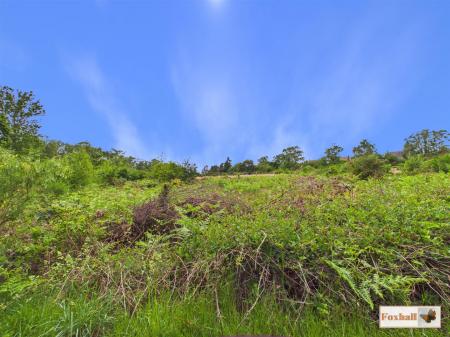 Bixley Heath Nature Reserve