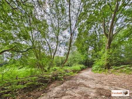 Bixley Heath Nature Reserve