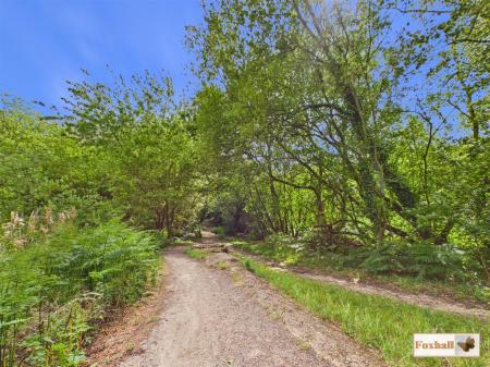Bixley Heath Nature Reserve