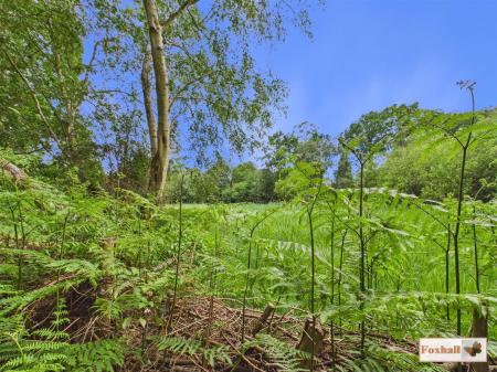 Bixley Heath Nature Reserve