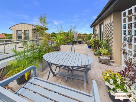 Roof Terrace