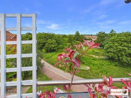 Roof Terrace