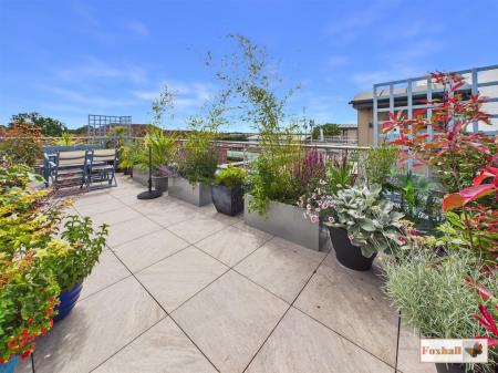 Roof Terrace