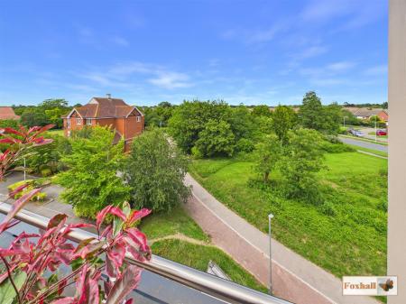 Roof Terrace