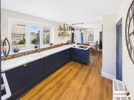 Lounge / Dining / Kitchen Area