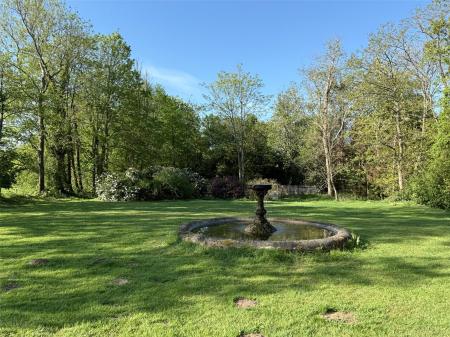 Picture No. 45