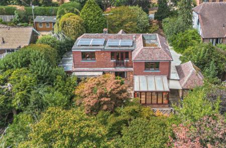 Picture No. 41