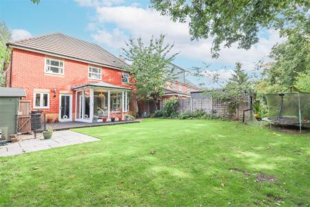 Garden Open Plan To Nature Reserve