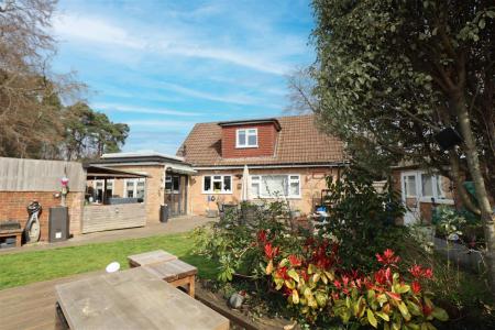 Rear View-SPS-LT004.jpg