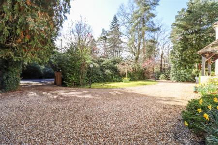 Driveway
