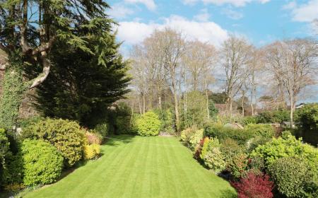 Garden View From Bedroom