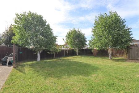 Communal Garden
