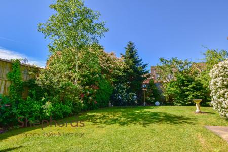 DSC_0070.JPG