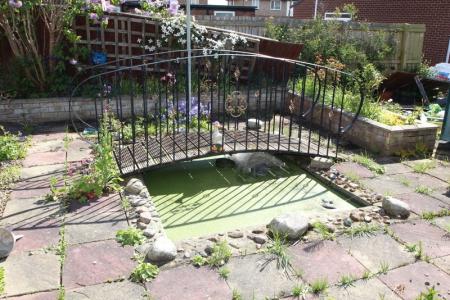 Pond