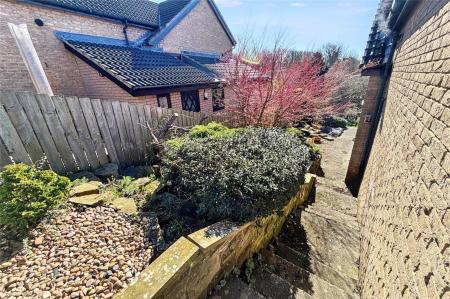 Side Garden 2