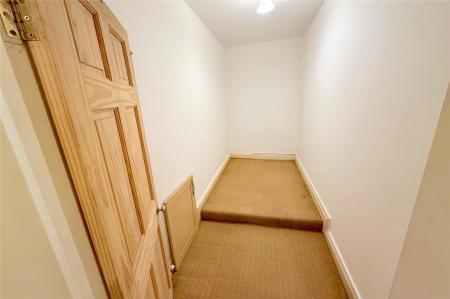 Cellar Room