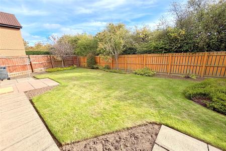 Rear Garden 2