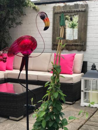 mynew garden 2 - June 2019.jpg