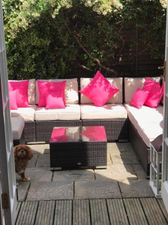 my new garden June 2019.jpg